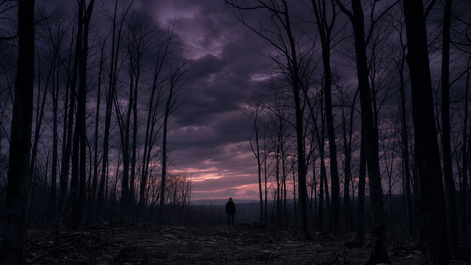 Cult Drops the Date: A New Chapter in Women-Led Horror