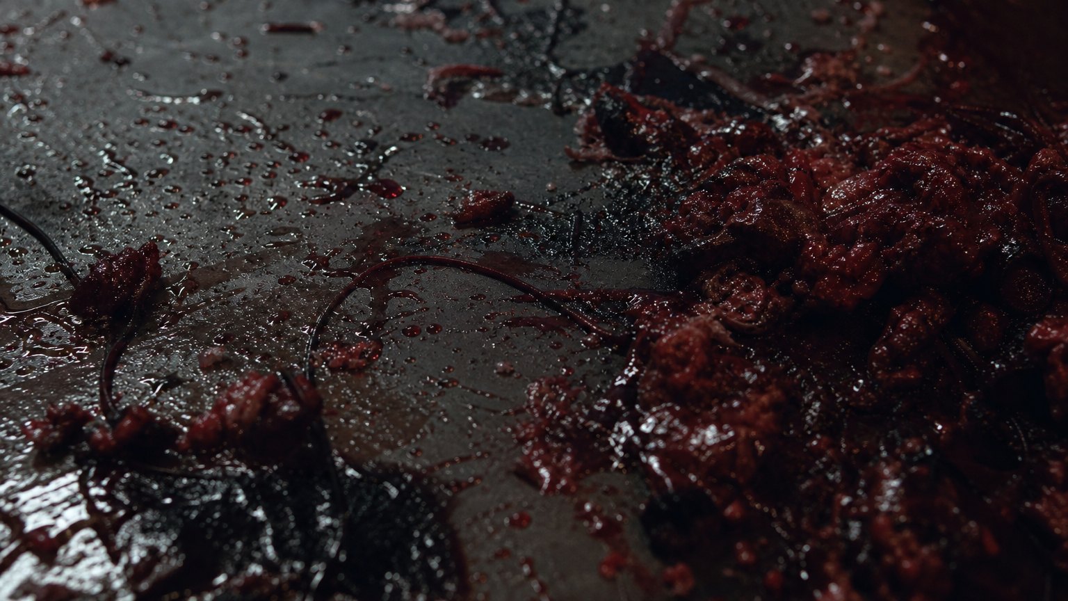 Supernatural Horror 'Human' Locks October 23 Release Date