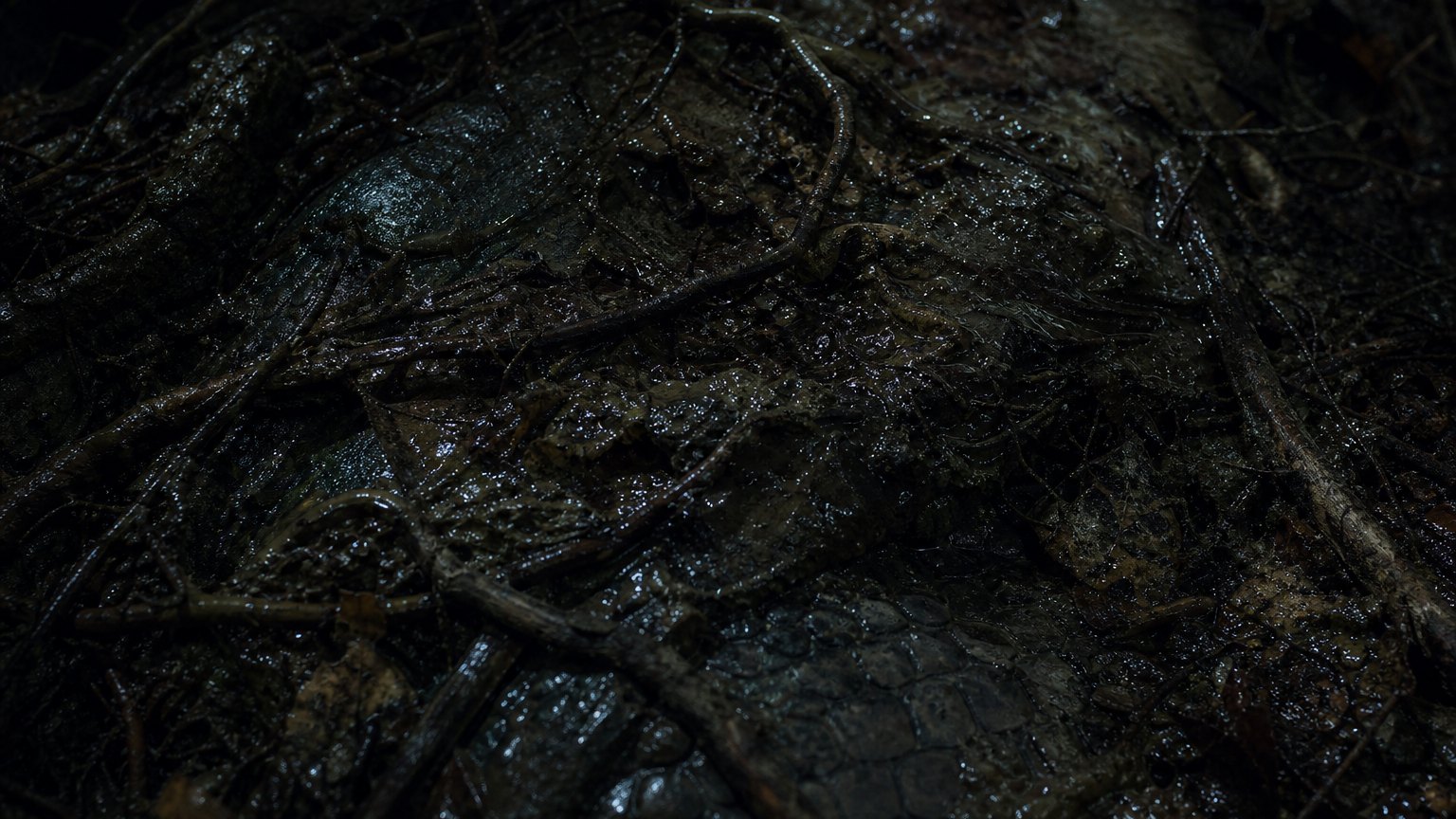 Lionsgate Drops Trailer for Amazonian Snake Horror Film 'Beware Boiúna'