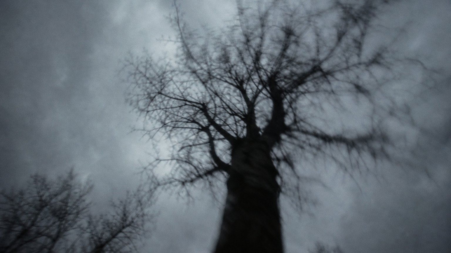 The Blair Witch Project: The ROI That Broke the Industry