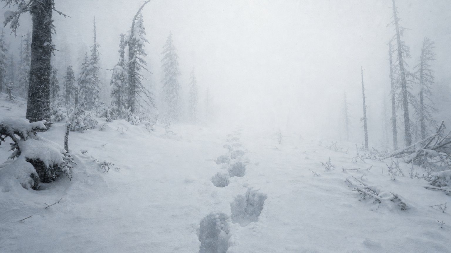 Heart of the Beast Trailer: Ayer’s Arctic Survival Film is a Cliché-Stricken Waste of Pitt’s Talents