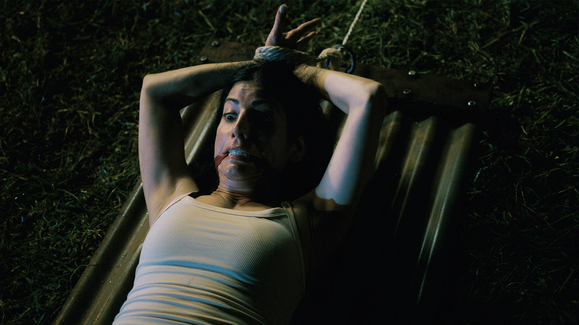 ‘Valentines Lake’ Package Scores 7.6: A Score Award, a Streaming Home and a Very Strange Origin