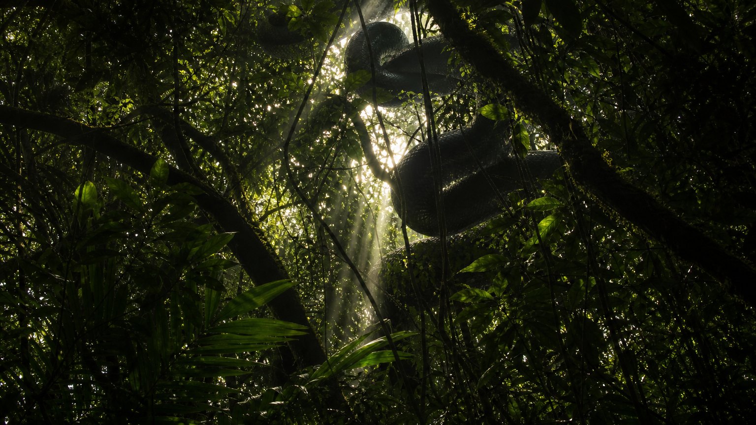 Ranked: 5 Reasons Why Lionsgate’s 'Beware Boiúna' Is The Amazonian Nightmare We Didn’t See Coming