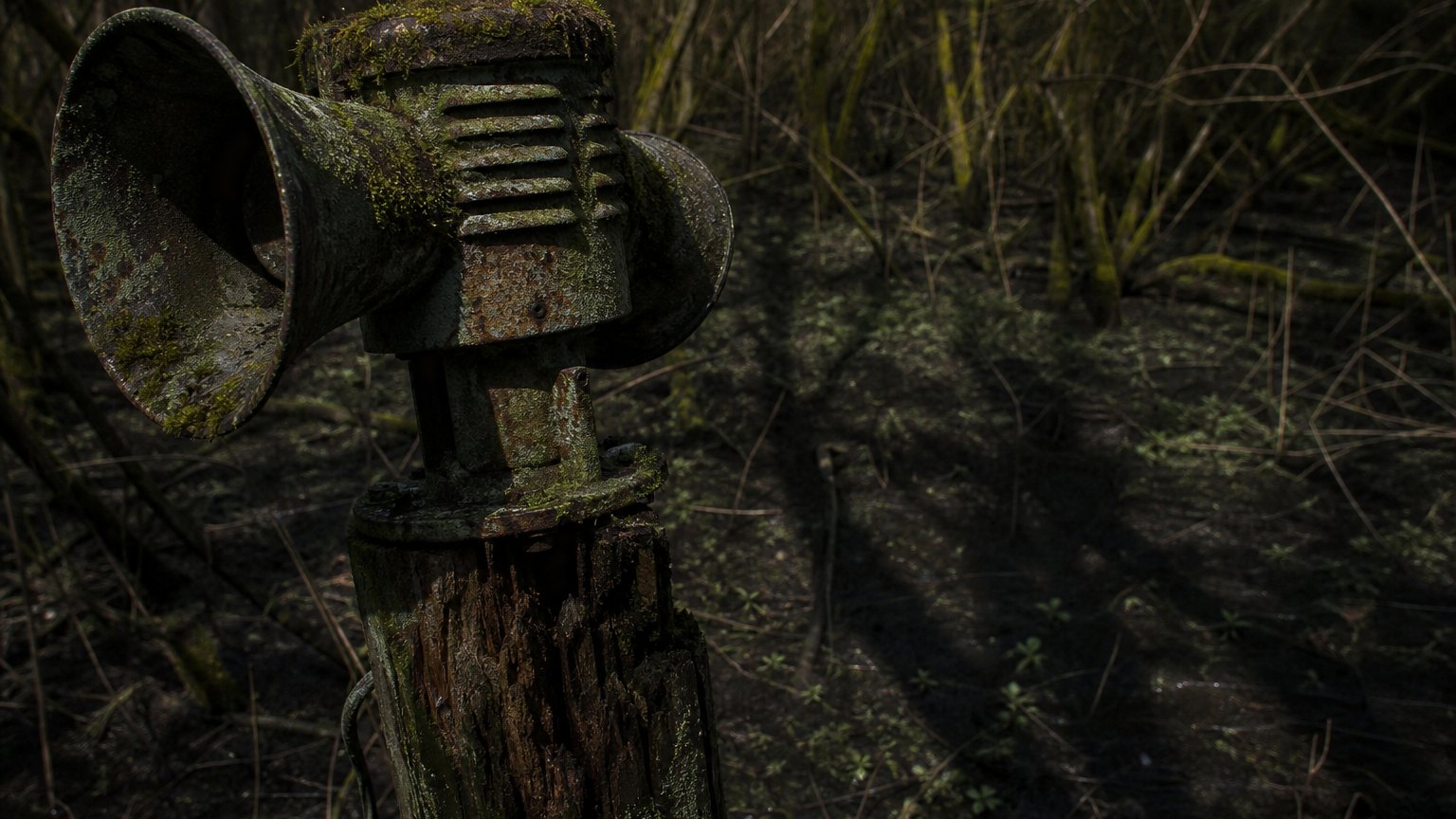 Ranked: Why the Siren Head Movie Gets the Best Horror Team in the Game